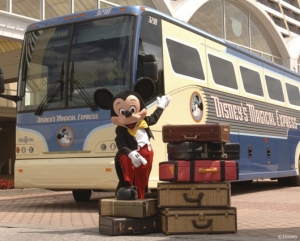 Even Mickey thinks we have overpacked.