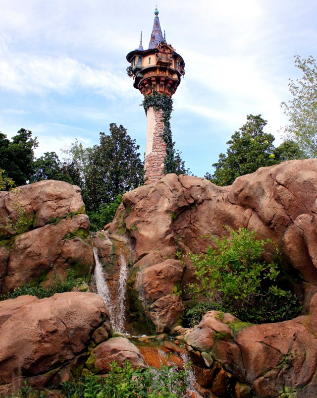 Does anyone else wonder about Rapunzel's bathing/cleaning/toilet situation?  No?  Just me?