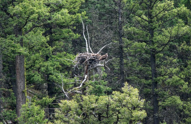 "So, yeah, I'm just going to take off and catch a movie or something."
