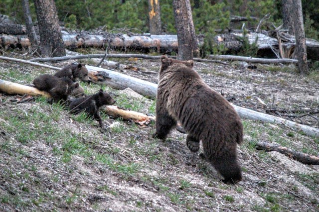 The photos are a little blurry, but the memories are sharp.