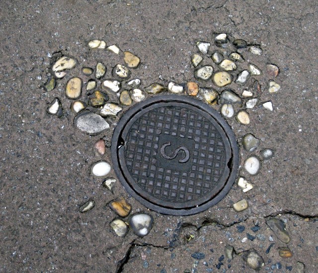 One of my favorite Hidden Mickeys, in Animal Kingdom.