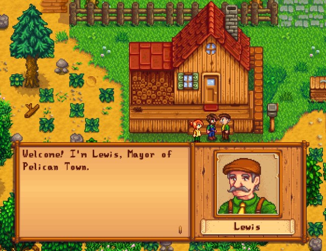 Meeting the Local Politician